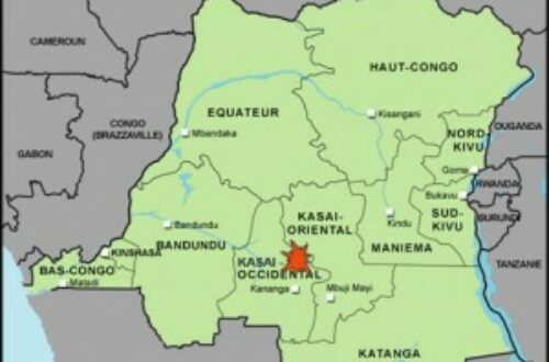 Article : Présentation de la RDC
