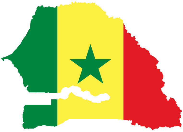 Article : S&eacute;n&eacute;gal et TIC