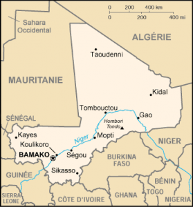 Article : La lecture de la crise malienne en Novembre 2012