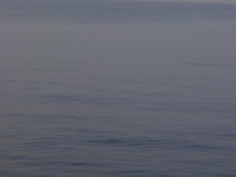 Article : Journ&eacute;e mondiale de l&rsquo;eau avec Monsieur Danny MBUYI (acte 2)