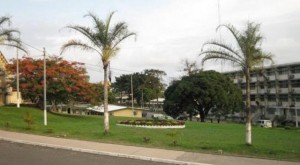 Article : Le r&ocirc;le de l&rsquo;universit&eacute; 4