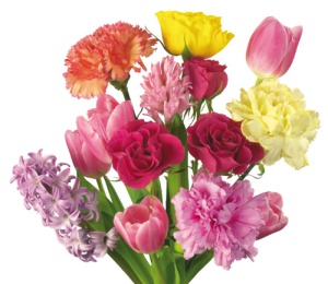 Photo priser sur https://www.chine-informations.com/